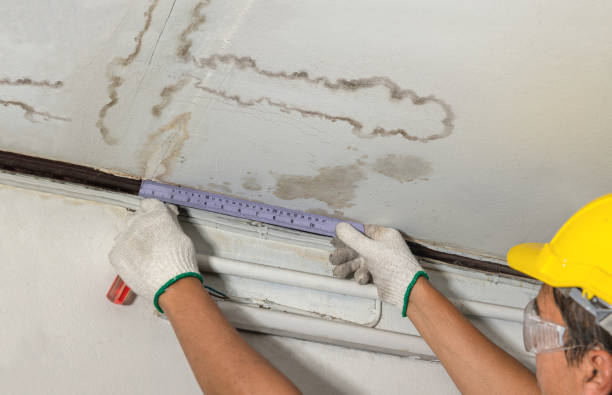 Reliable Mold Remediation contractor in Gales Ferry, CT by Water Damage Irwin